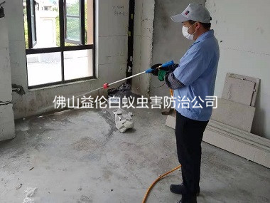 平洲房屋装修预防白蚁