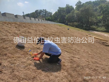 西南堤坝白蚁防治工程