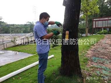 和顺园林绿化灭治白蚁
