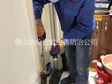 白坭上门防治白蚁工程