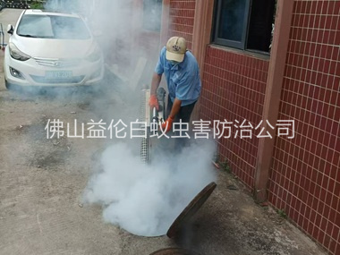 三水环境蟑螂消杀工程