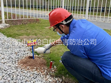 南海红火蚁防治工程