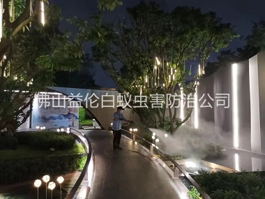 大塘住宅消杀白蚁工程